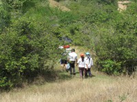 /album/fotogaleria/payande-30-jpg/